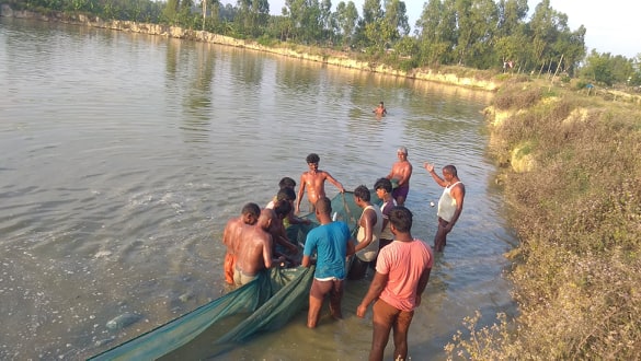 लकडाउनले सर्लाहीका पोखरीमा करोडौंका माछा थन्किए