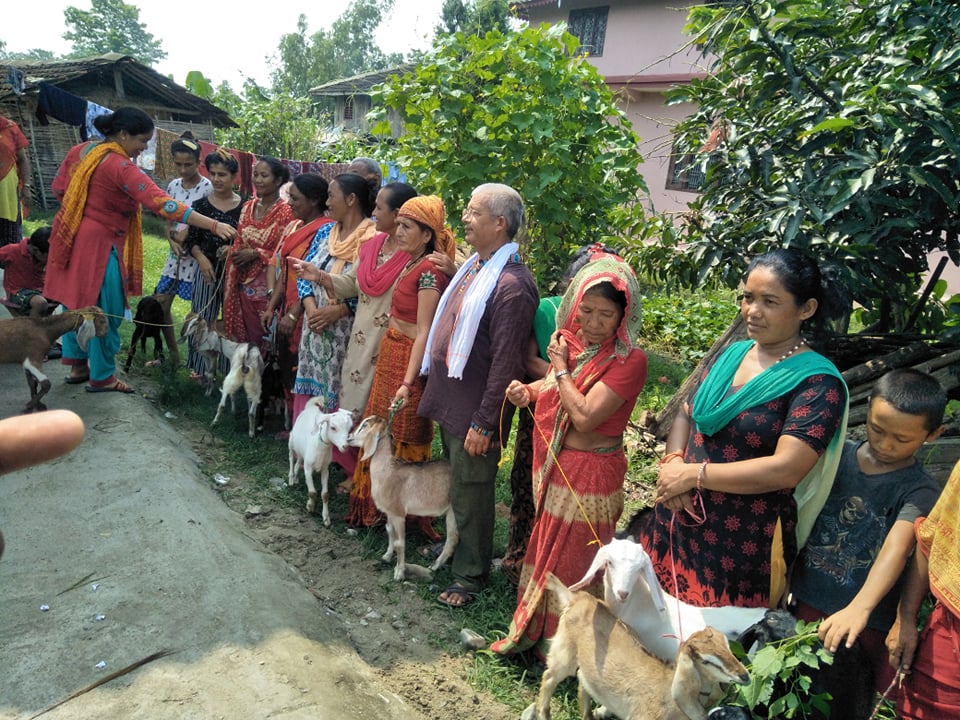 हरिवनको चापिनीमा बाख्राको पाठा बाँडियो