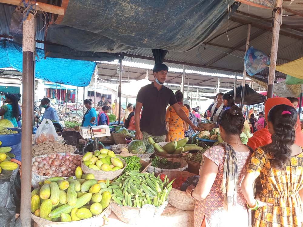 तरकारीको उत्पादन बढ्न थाल्यो