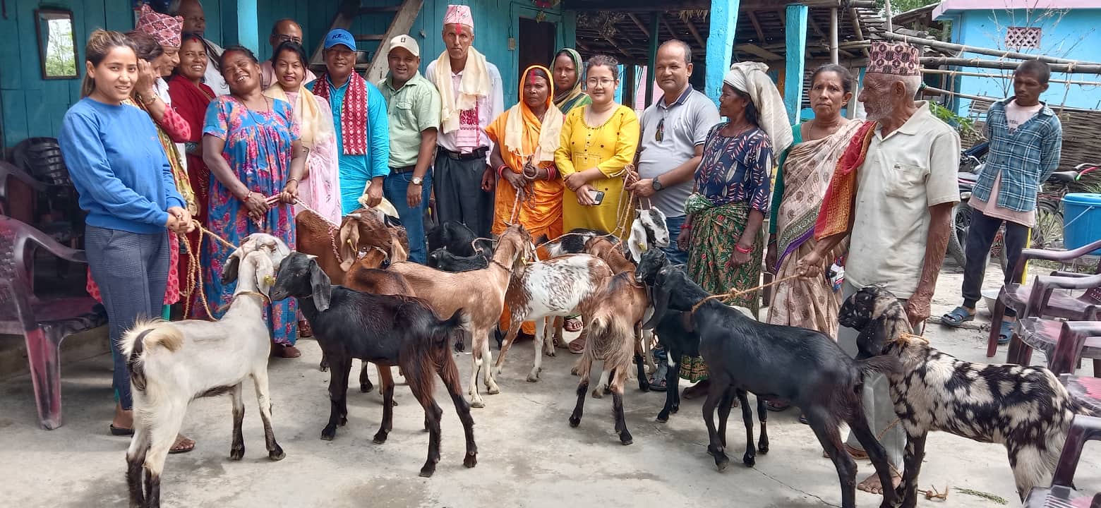 ग्रामीणद्वारा हरिपुरमा विपन्न परिवारलाई बाख्रा वितरण