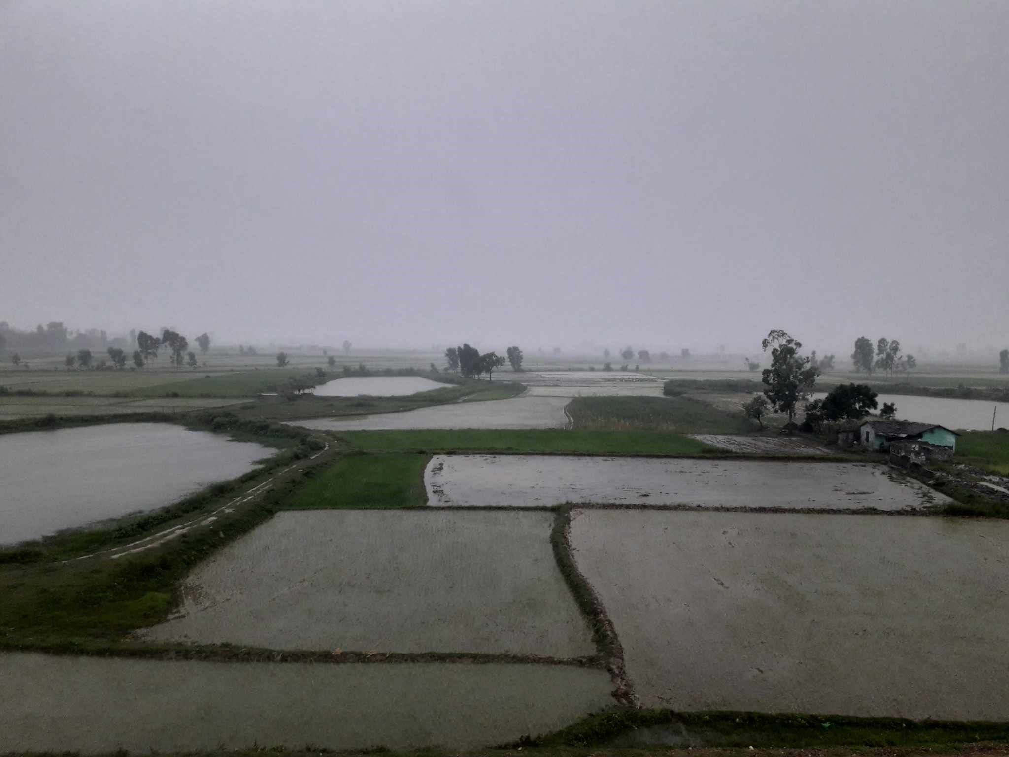 सर्लाहीको विभिन्न भेगमा भारी वर्षा