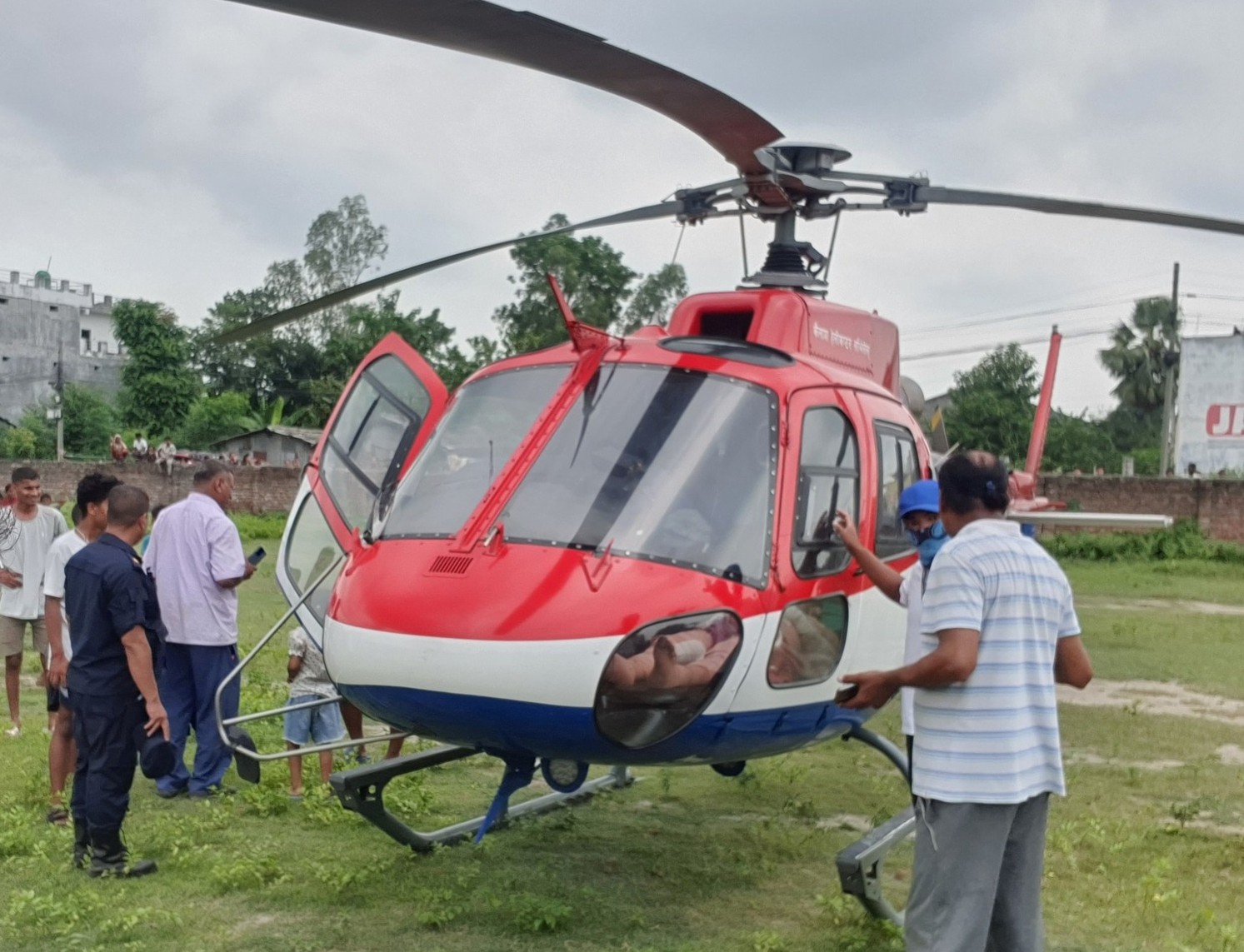करेन्ट लागेर घाइते मगरको मृत्यु