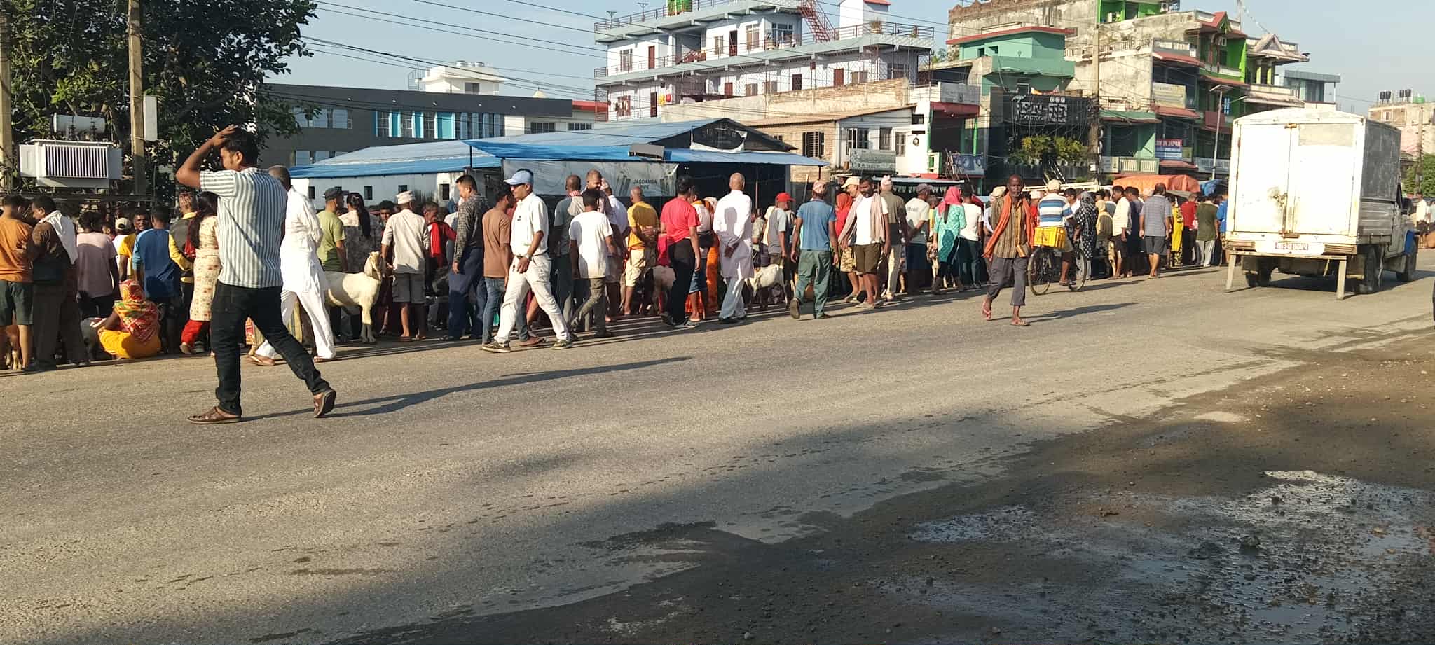 लालबन्दी बजारमा बिहानैदेखि खसी बोका किनबेच गर्नेको भीड 