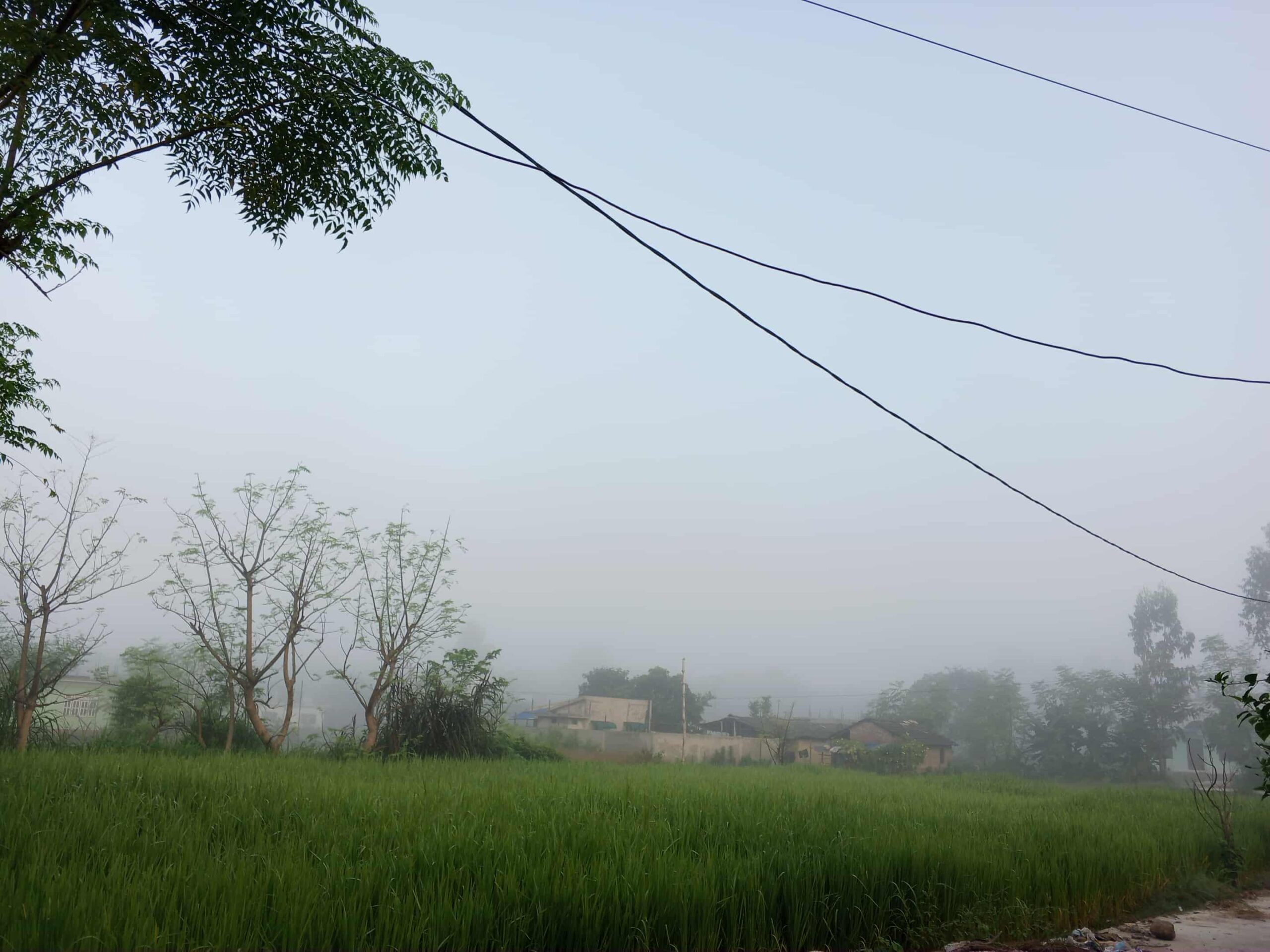 सर्लाहीमा यो वर्षको पहिलो हुस्सु