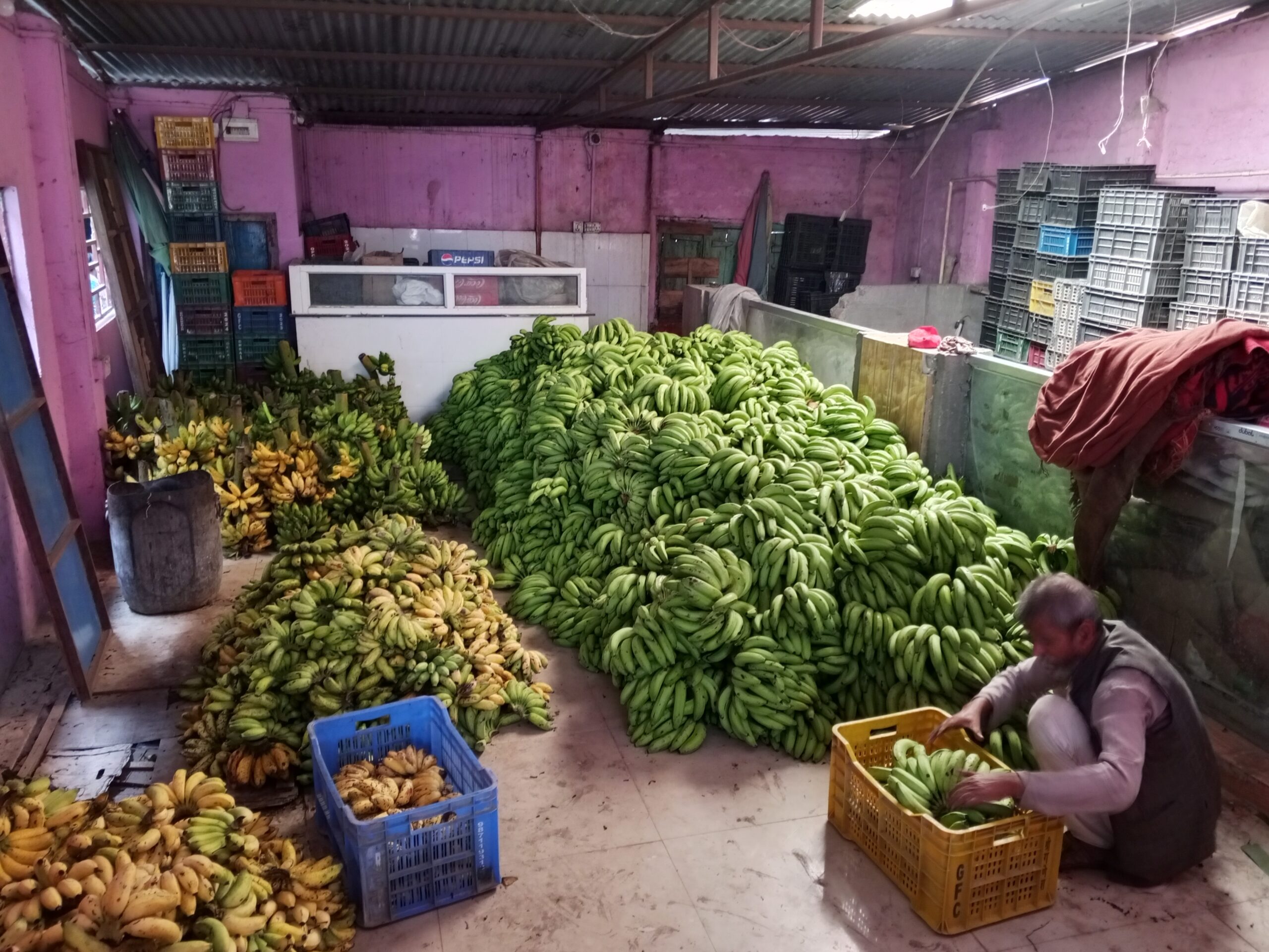 सर्लाहीमा छठ पर्वको रौनक