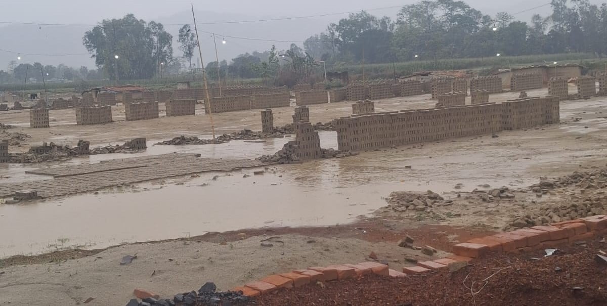 बेमौसमी वर्षाले कराेडाैंको काँचो इँटा गलेर नष्ट