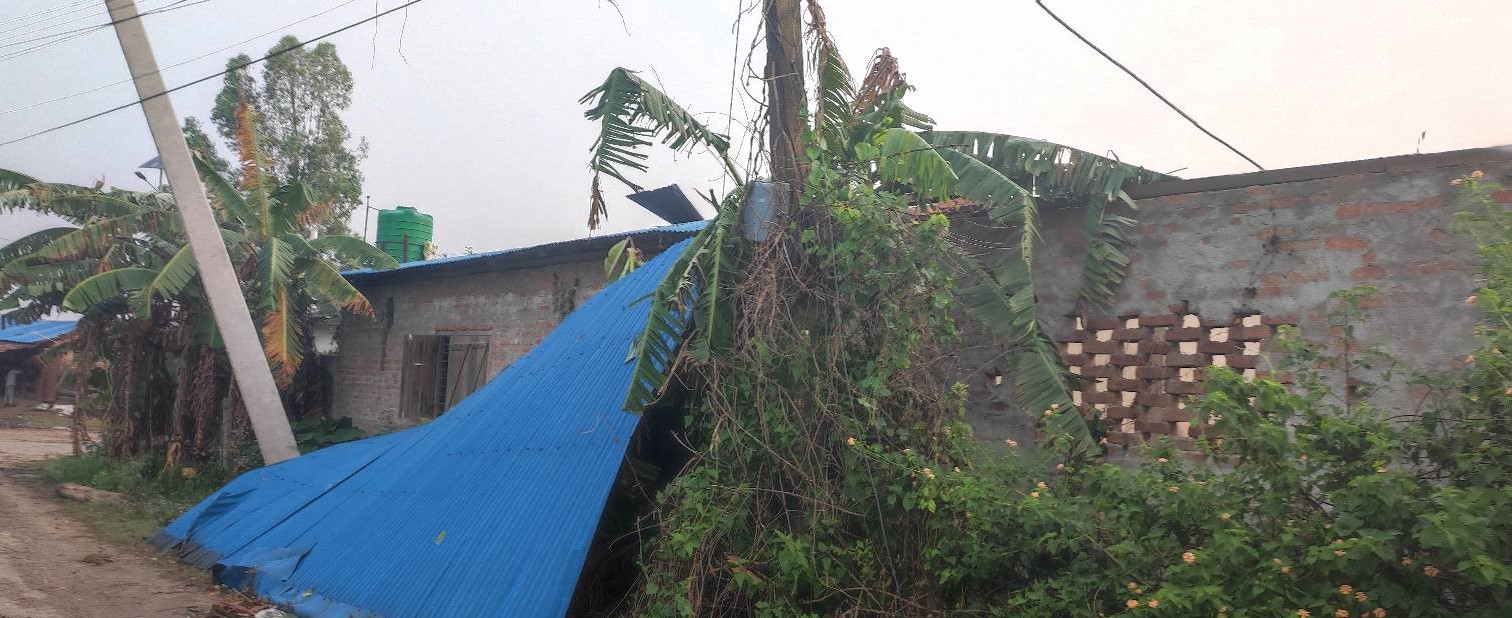 हावाहुरी र असिना पानी, घरगोठका छानो र बालीमा क्षति