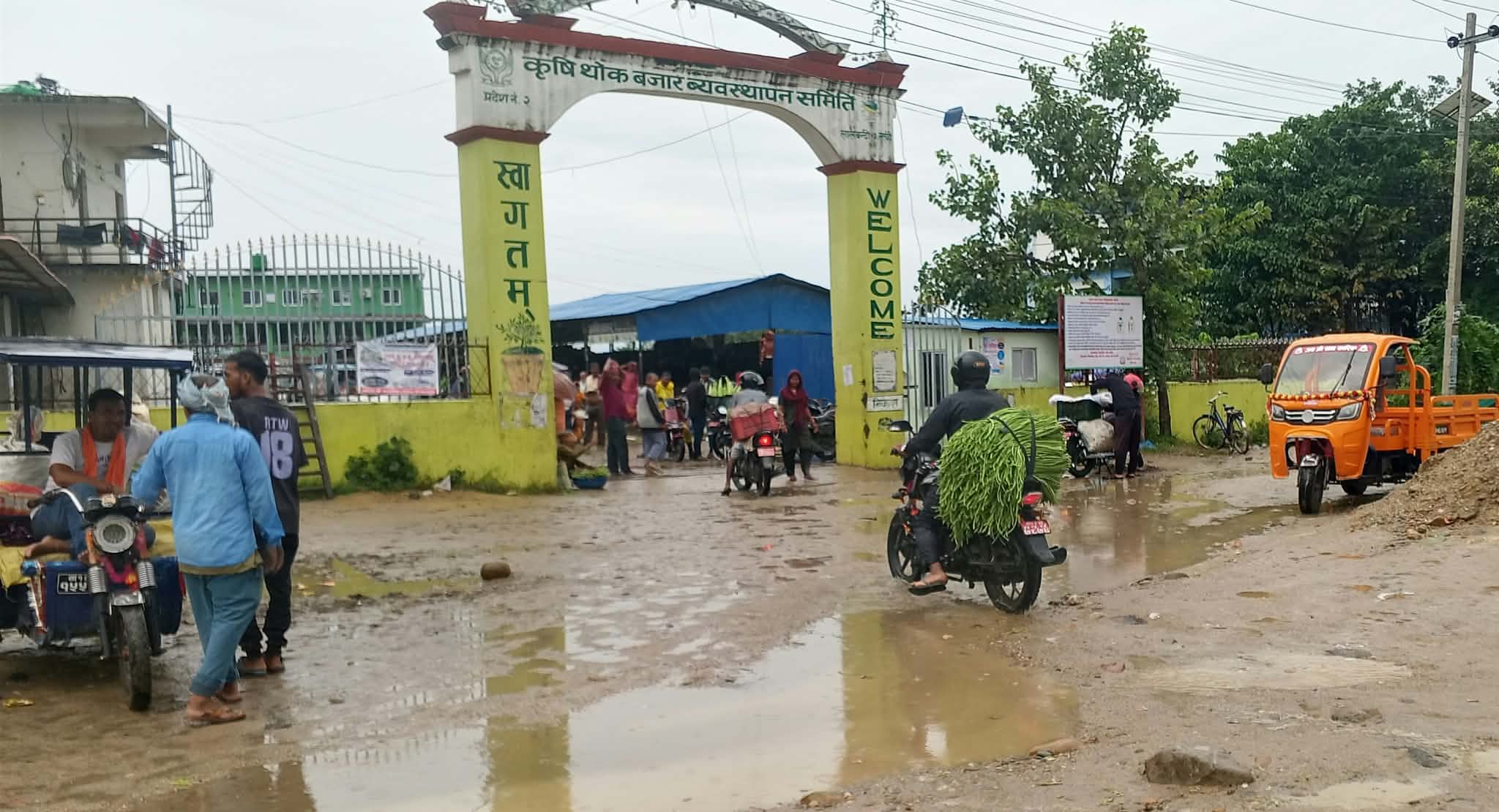 झरीले तरकारी खेती प्रभावित, काठमाडौँ लान समस्या